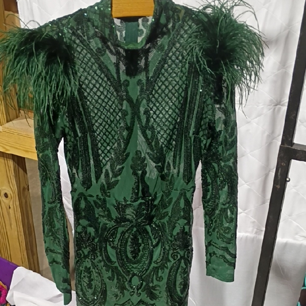 Banjul Green Long Sleeve Feather Dress